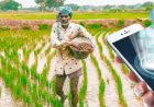 खेती को डिजिटल ताकत देने की तैयारी, ‘भारत विस्तार’ से किसानों को मिलेगा AI साथी