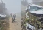 गोरखपुर में पुलिस वाहन पेड़ से टकराया, दरोगा की मौत, पांच पुलिसकर्मी घायल