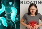 पेट की आम समस्या समझकर न करें नजरअंदाज: H. Pylori बैक्टीरिया बन सकता है अल्सर और कैंसर की वजह