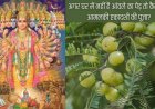 आमलकी एकादशी 27 फरवरी 2026 को, जानें तिथि, पारण समय और बिना आंवले के पेड़ कैसे करें पूजा