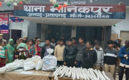 पुलिस टीम पर फेंके ईंट-पत्थर, सड़क पर लगाया जाम… प्रतापगढ़ में 23 लोग गिरफ्तार कर भेजे गए जेल