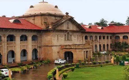 क्या अपराधी के घर पर बुलडोजर चलाना कानूनन सही है… इलाहाबाद हाई कोर्ट ने राज्य से पूछ लिया बड़ा सवाल