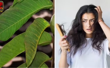 बालों के झड़ने और ग्रोथ की समस्या में कारगर बताया जा रहा अमरूद की पत्तियों का घरेलू नुस्खा