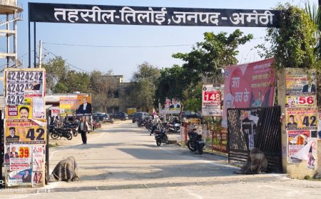 अमेठी की तिलोई तहसील में मधुमक्खियों का हमला, कंबल ओढ़कर फरियादियों ने बचाई जान