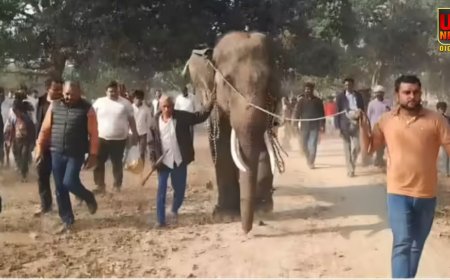 अरुणाचल से 2000 किमी का सफर तय कर प्रतापगढ़ पहुंचा ‘जात्रा सिंह’, मां की इच्छा पूरी करने घर लाए बीजेपी नेता अशोक त्रिपाठी