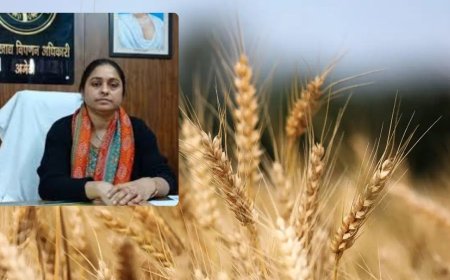 अमेठी में 17 मार्च से शुरू होगी गेहूं खरीद, 2585 रुपये प्रति क्विंटल मिलेगा समर्थन मूल्य