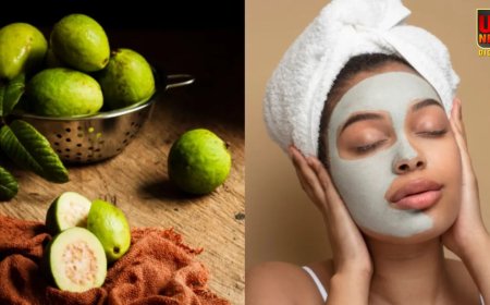 सिर्फ सेहत ही नहीं, त्वचा के लिए भी फायदेमंद है अमरूद; जानिए आसान फेस पैक और उसके फायदे