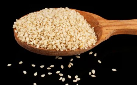 सुबह खाली पेट सफेद तिल खाने से मिलते हैं चमत्कारी फायदे, हड्डियां और दिल दोनों रहेंगे मजबूत
