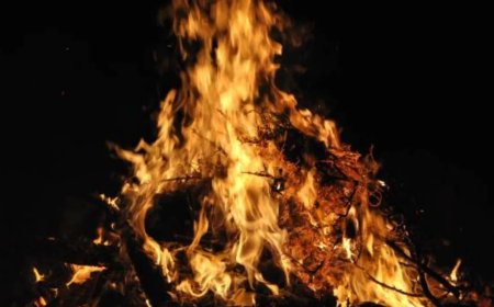 24 फरवरी से शुरू हो रहा है होलाष्टक… भूलकर भी न करें ये 5 काम, वरना पड़ सकता है भारी