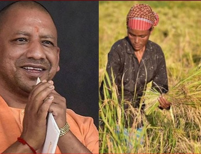 धान-गेहूं से मछली-दूध तक… आर्थिक सर्वेक्षण में योगी सरकार का किसान-केंद्रित विकास मॉडल