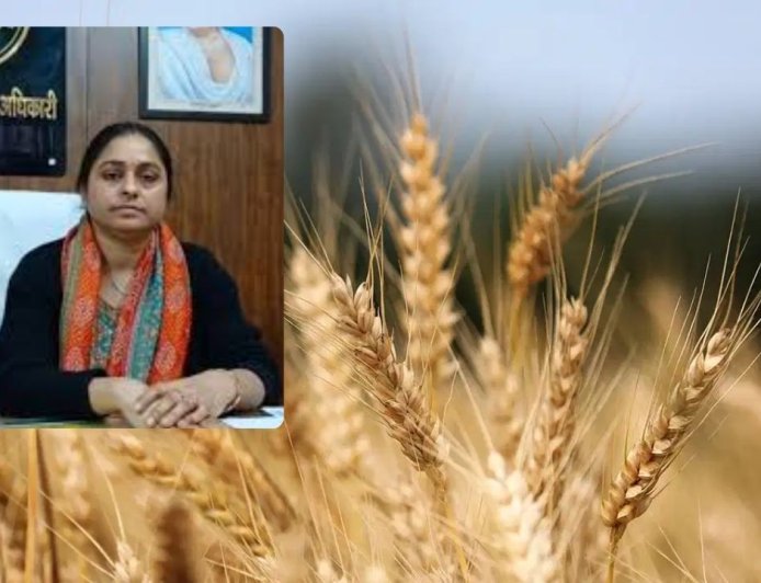 अमेठी में 17 मार्च से शुरू होगी गेहूं खरीद, 2585 रुपये प्रति क्विंटल मिलेगा समर्थन मूल्य