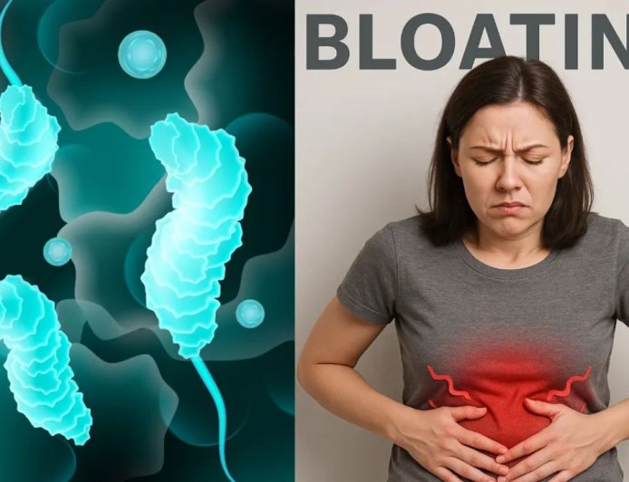 पेट की आम समस्या समझकर न करें नजरअंदाज: H. Pylori बैक्टीरिया बन सकता है अल्सर और कैंसर की वजह