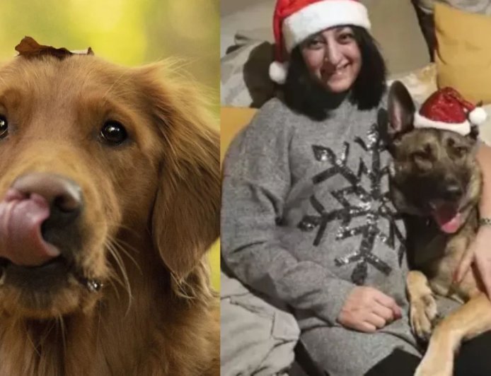 कुत्ते के चाटने से हुआ सेप्सिस, महिला के दोनों हाथ-पैर काटने पड़े, जानिए कितना खतरनाक है यह संक्रमण