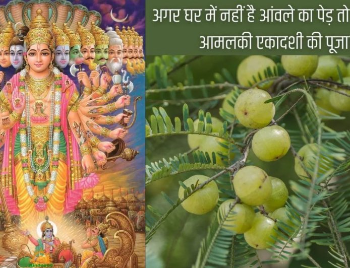 आमलकी एकादशी 27 फरवरी 2026 को, जानें तिथि, पारण समय और बिना आंवले के पेड़ कैसे करें पूजा