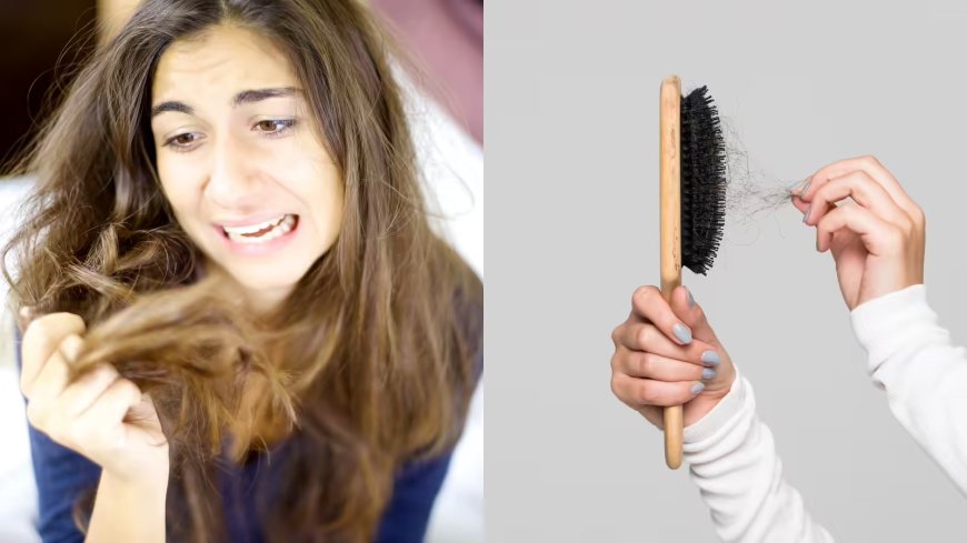 कहीं आपकी ये आदतें तो नहीं बना रहीं बाल झड़ने की वजह… आयुर्वेद ने बताईं बड़ी गलतियां
