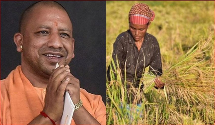 धान-गेहूं से मछली-दूध तक… आर्थिक सर्वेक्षण में योगी सरकार का किसान-केंद्रित विकास मॉडल