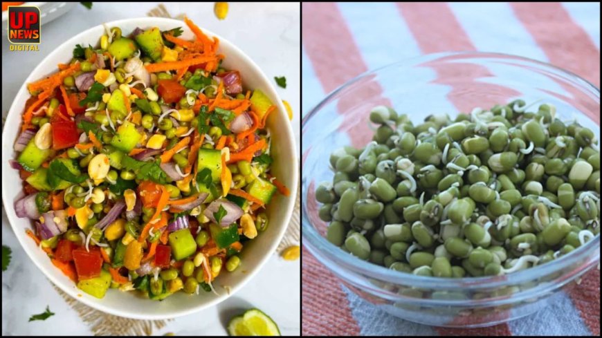 मोटापा घटाने में मददगार मूंग दाल स्प्राउट्स, जानिए घर पर बनाने और खाने के तीन आसान तरीके