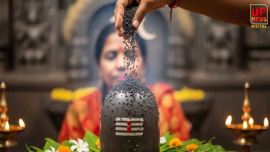 15 फरवरी को मनाई जाएगी महाशिवरात्रि, जानिए भगवान शिव को प्रसन्न करने के 10 खास उपाय