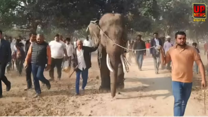 अरुणाचल से 2000 किमी का सफर तय कर प्रतापगढ़ पहुंचा ‘जात्रा सिंह’, मां की इच्छा पूरी करने घर लाए बीजेपी नेता अशोक त्रिपाठी