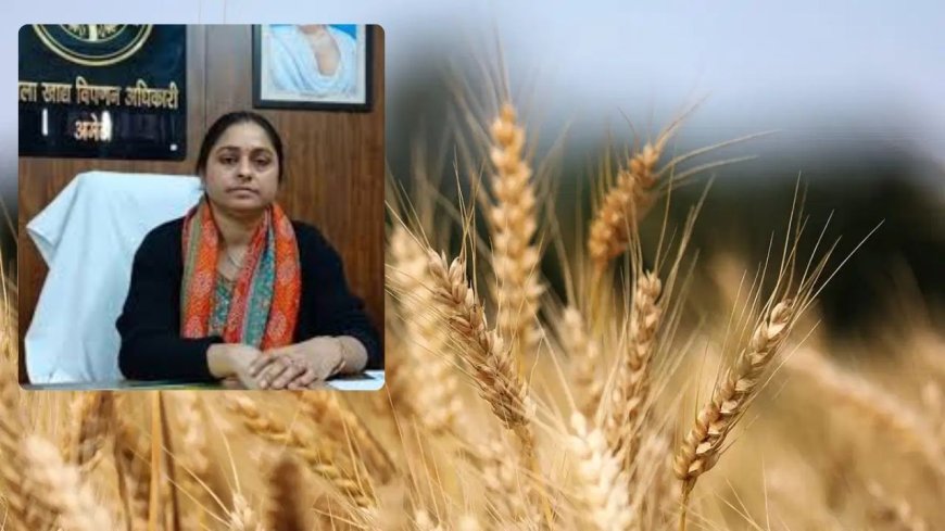अमेठी में 17 मार्च से शुरू होगी गेहूं खरीद, 2585 रुपये प्रति क्विंटल मिलेगा समर्थन मूल्य