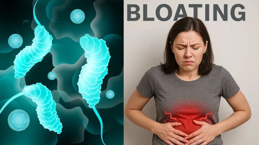 पेट की आम समस्या समझकर न करें नजरअंदाज: H. Pylori बैक्टीरिया बन सकता है अल्सर और कैंसर की वजह