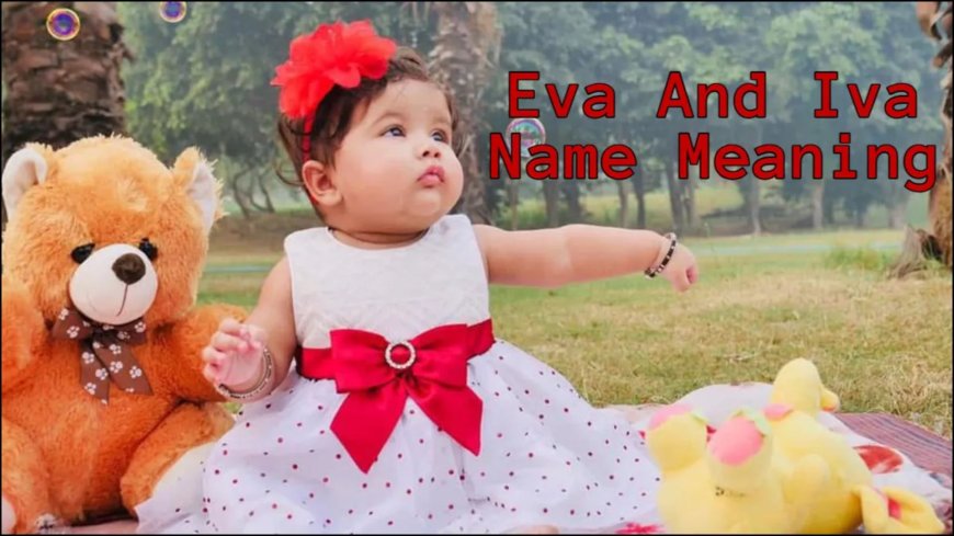 पार्क से स्कूल तक छाया ईवा और इवा नाम, जानिए अर्थ, राशि और शुभ अंक की पूरी जानकारी