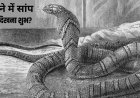 सपने में सांप दिखना क्या देता है संकेत? स्वप्न शास्त्र के अनुसार जानिए शुभ अर्थ