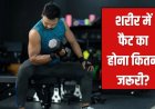 जीरो फैट बॉडी का खतरा! जानिए क्यों शरीर के लिए जरूरी है सही मात्रा में फैट