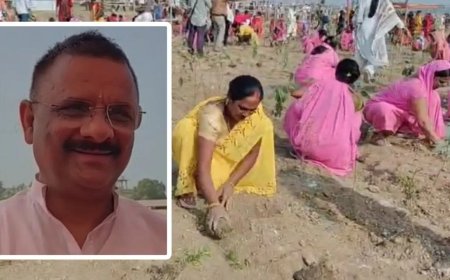 वाराणसी ने बनाया नया कीर्तिमान… 20000 हाथों ने आधे घंटे में रोपे 3 लाख पौधे, गिनीज में दर्ज हुआ नाम