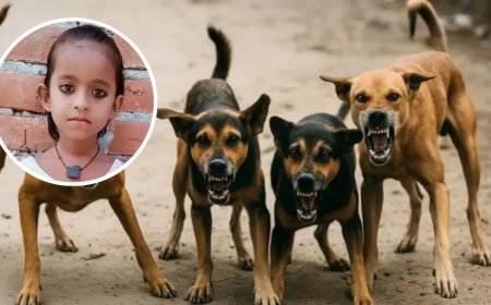 लखनऊ में दिल दहला देने वाली घटना… कुत्तों ने मासूम के चेहरे-हाथ-पैर नोचे, 500 मीटर दूर खेत में मिला शव