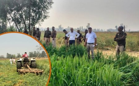 संभल में अवैध कब्जों पर बड़ी कार्रवाई, 2 करोड़ की 39 बीघा सरकारी जमीन कराई गई मुक्त