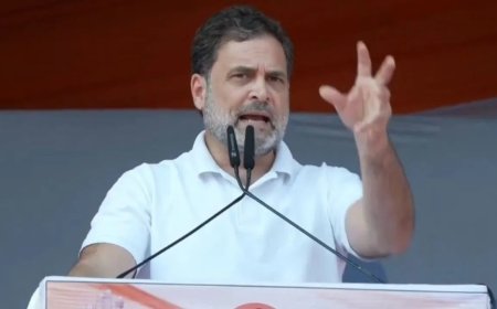 राहुल गांधी की नागरिकता पर नया विवाद… इलाहाबाद HC ने केंद्र से मांगी पूरी रिपोर्ट, 19 मार्च तक टली सुनवाई