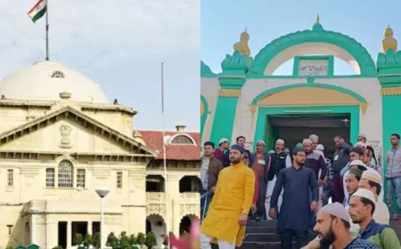 नमाजियों की संख्या कैसे कर सकते हैं तय? संभल  के SP-DM से हाईकोर्ट ने कहा- ड्यूटी नहीं निभा सकते तो पद छोड़ दें