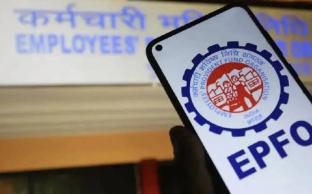 जॉब बदलते ही करें ये जरूरी काम…घर बैठे पुराने PF अकाउंट को मिनटों में ऐसे करें मर्ज, नहीं तो हो सकती है परेशानी