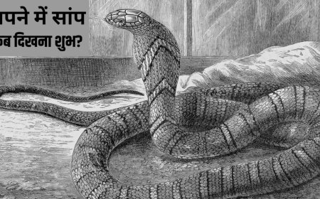 सपने में सांप दिखना क्या देता है संकेत? स्वप्न शास्त्र के अनुसार जानिए शुभ अर्थ