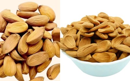 मामरा बादाम को कहा जाता है ‘बादाम का राजा’, कीमत भी ज्यादा और पोषण भी भरपूर