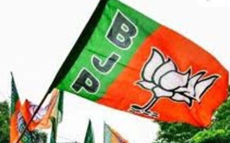 भाजपा की संस्तुति पर 2802 पार्षद नामित, नगर निगम में 10 और पालिका परिषद में 5-5 सदस्य नियुक्त