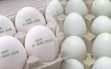अंडा खाने से पहले हो जाएं सावधान… UP में नया नियम, अब हर अंडे पर लिखी होगी ये जरूरी जानकारी
