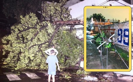 गौतम बुद्ध नगर में तूफान का तांडव… 150 पोल टूटे, 25 ट्रांसफॉर्मर ठप, अंधेरे में डूबे 16 गांव