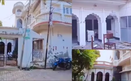 300 साल पुरानी हवेली बनी गौरैयों का सुरक्षित घर, ‘गौरैया वाली हवेली’ के नाम से मशहूर