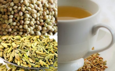 सौंफ-धनिया का पानी है सेहत का खजाना: पाचन से वजन घटाने तक देगा फायदा, जानें सही सेवन तरीका