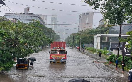 यूपी के 40 जिलों में बारिश का अलर्ट, तेज हवाओं और ओलावृष्टि की चेतावनी