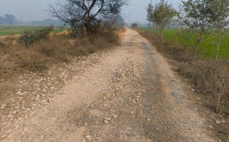 कोरारी-रामगढ़ मार्ग की बदहाल सड़क से लोग परेशान, दुर्घटना का बढ़ा खतरा