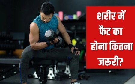 जीरो फैट बॉडी का खतरा! जानिए क्यों शरीर के लिए जरूरी है सही मात्रा में फैट