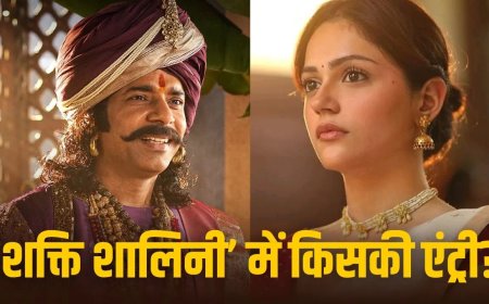 ‘सैयारा’ की सफलता के बाद अनीत पड्डा की नई फिल्म ‘शक्ति शालिनी’ में विनीत कुमार सिंह की एंट्री