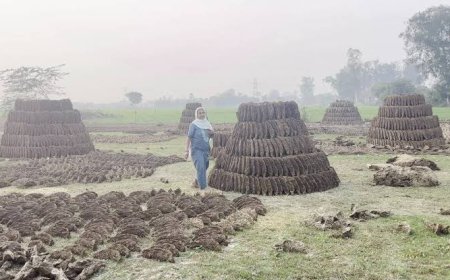 गांवों में साफ-सफाई के साथ बढ़ी लाखों की आय, गोबरधन योजना ने बदल दी तस्वीर