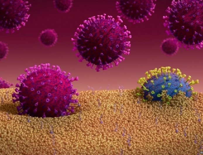 क्या अमेरिका गुपचुप बना रहा बायोवेपन? कोविड वैक्सीन डेवलपर वैज्ञानिक ने खोले चौंकाने वाले राज