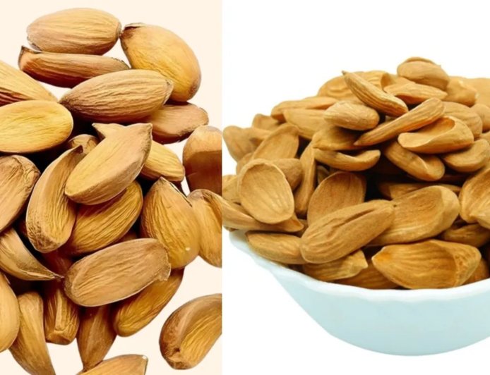 मामरा बादाम को कहा जाता है ‘बादाम का राजा’, कीमत भी ज्यादा और पोषण भी भरपूर