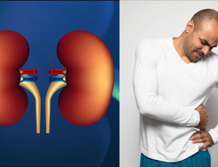 किडनी को साफ रखने के आसान उपाय, जानें कौन-सी चीजें करेंगी नेचुरल डिटॉक्स