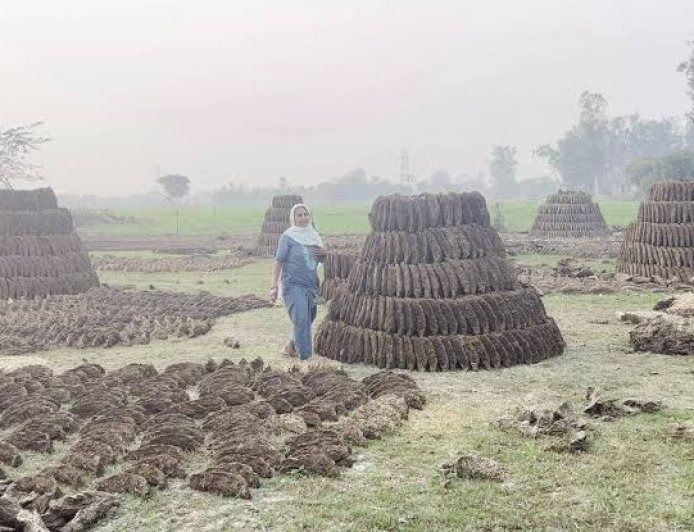 गांवों में साफ-सफाई के साथ बढ़ी लाखों की आय, गोबरधन योजना ने बदल दी तस्वीर